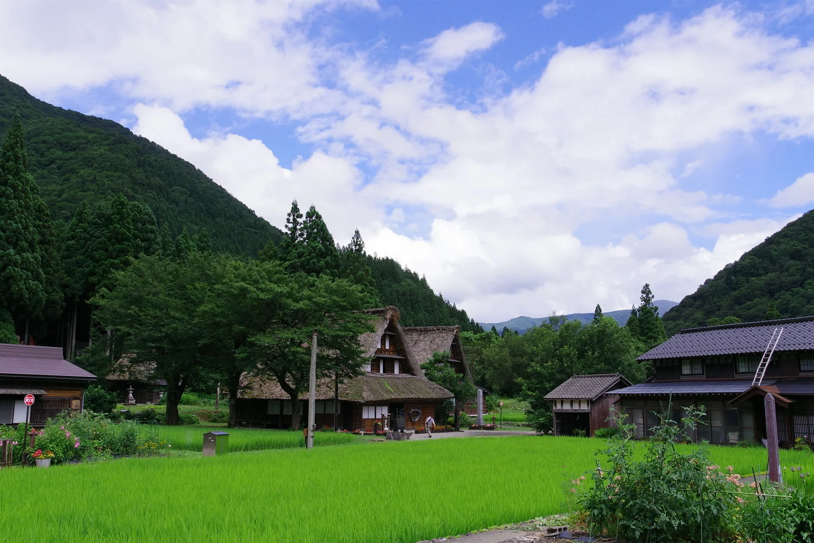 浮気調査　富山