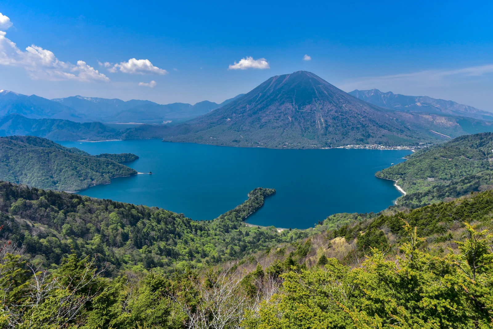 浮気調査　栃木